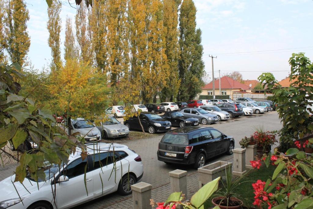Bajor Panzió Kecskemét Zewnętrze zdjęcie